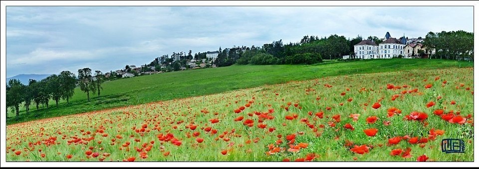 4/1 . Vie de château au printemps